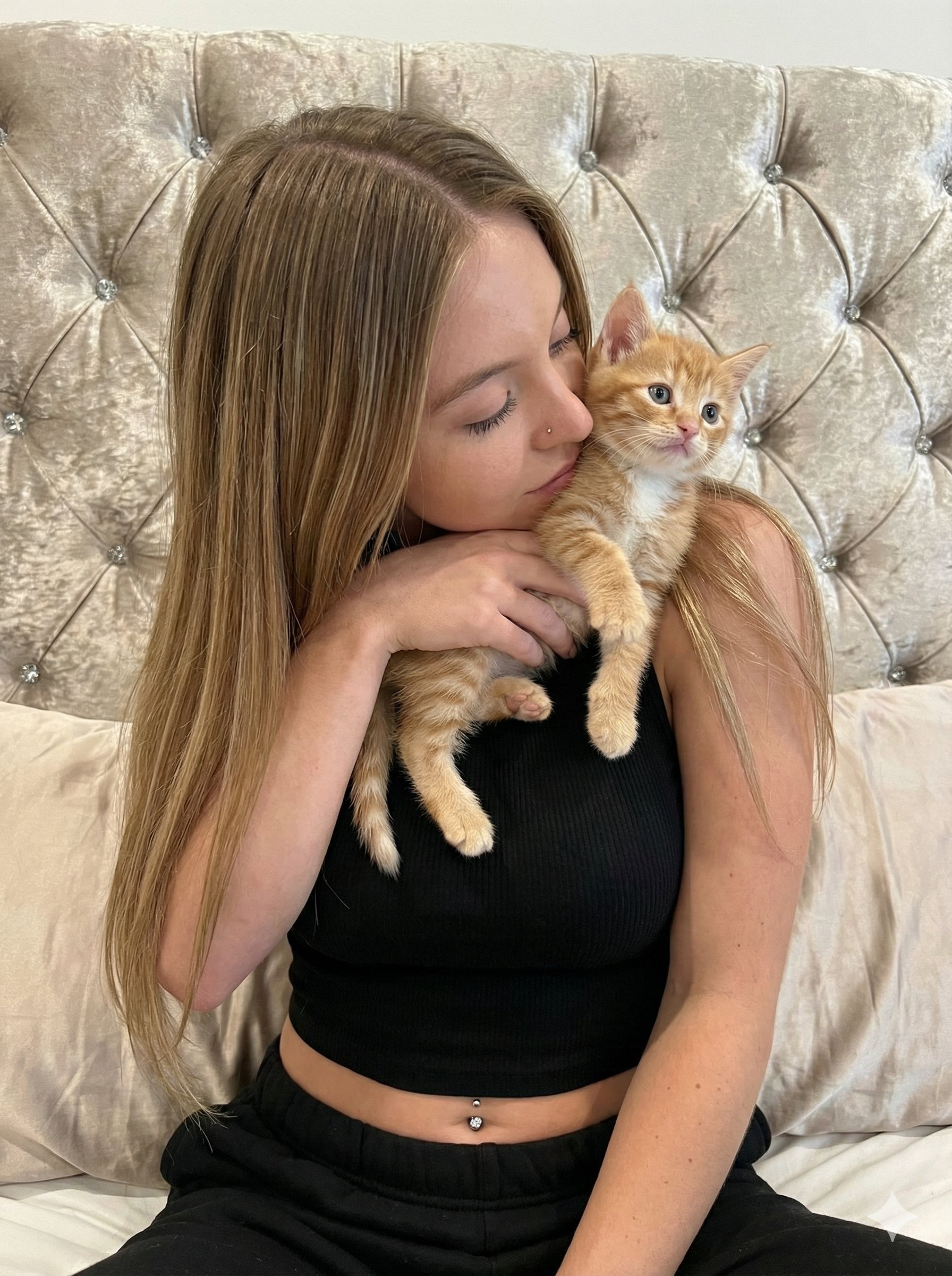 优雅的猫咪