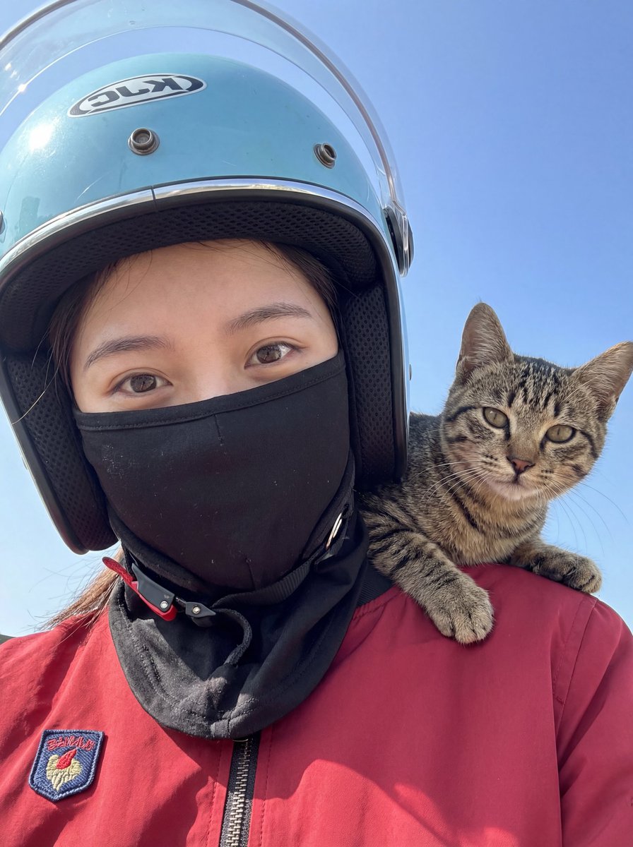 少女与猫咪的户外生活照